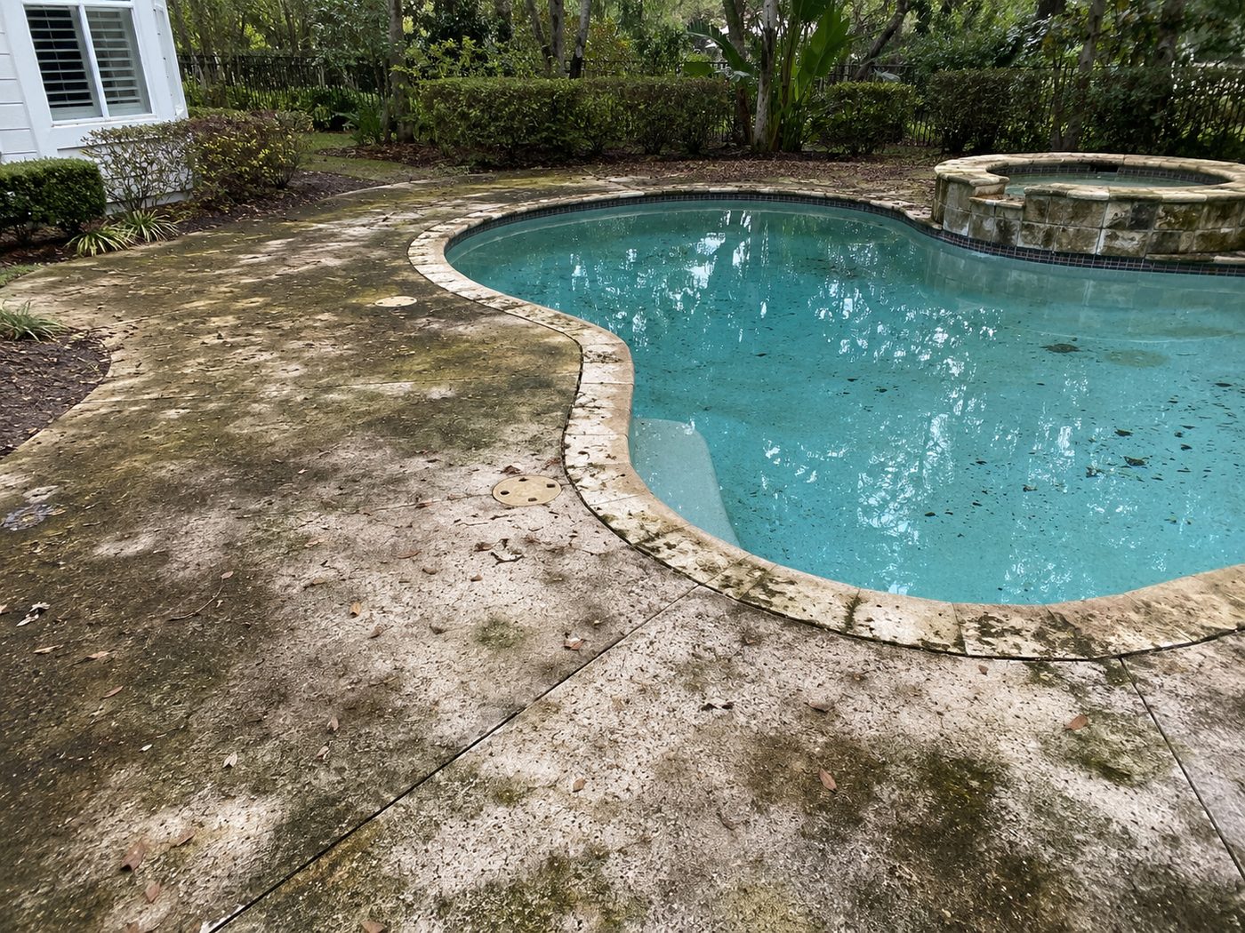 Concrete pool surround darkened by algae and ingrained dirt before cleaning